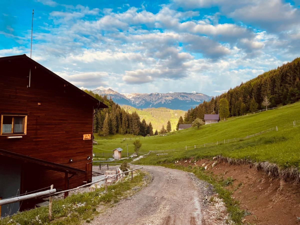 Vila Andolia Moeciu De Sus Exteriér fotografie