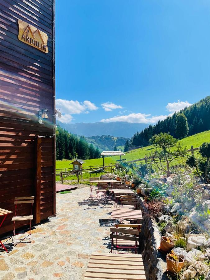 Vila Andolia Moeciu De Sus Exteriér fotografie