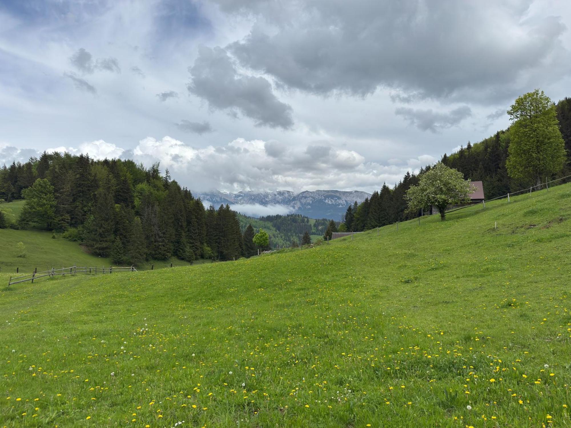 Vila Andolia Moeciu De Sus Exteriér fotografie