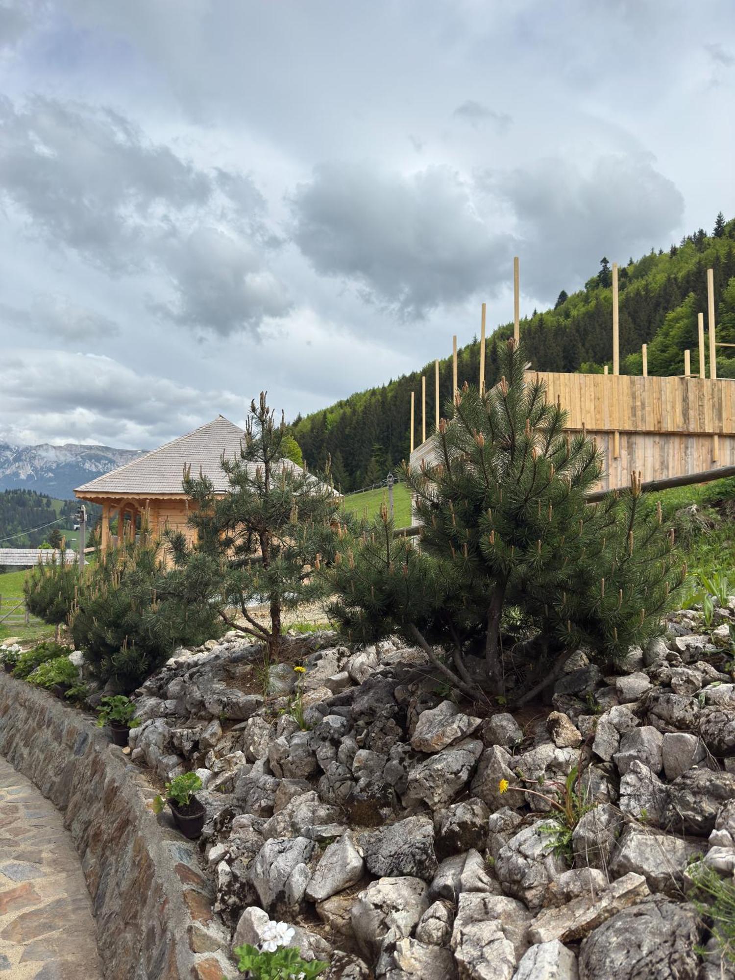 Vila Andolia Moeciu De Sus Exteriér fotografie